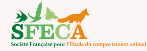 Logo SFECA